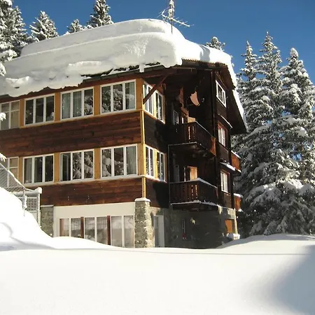 Suveran 2 * アローザ